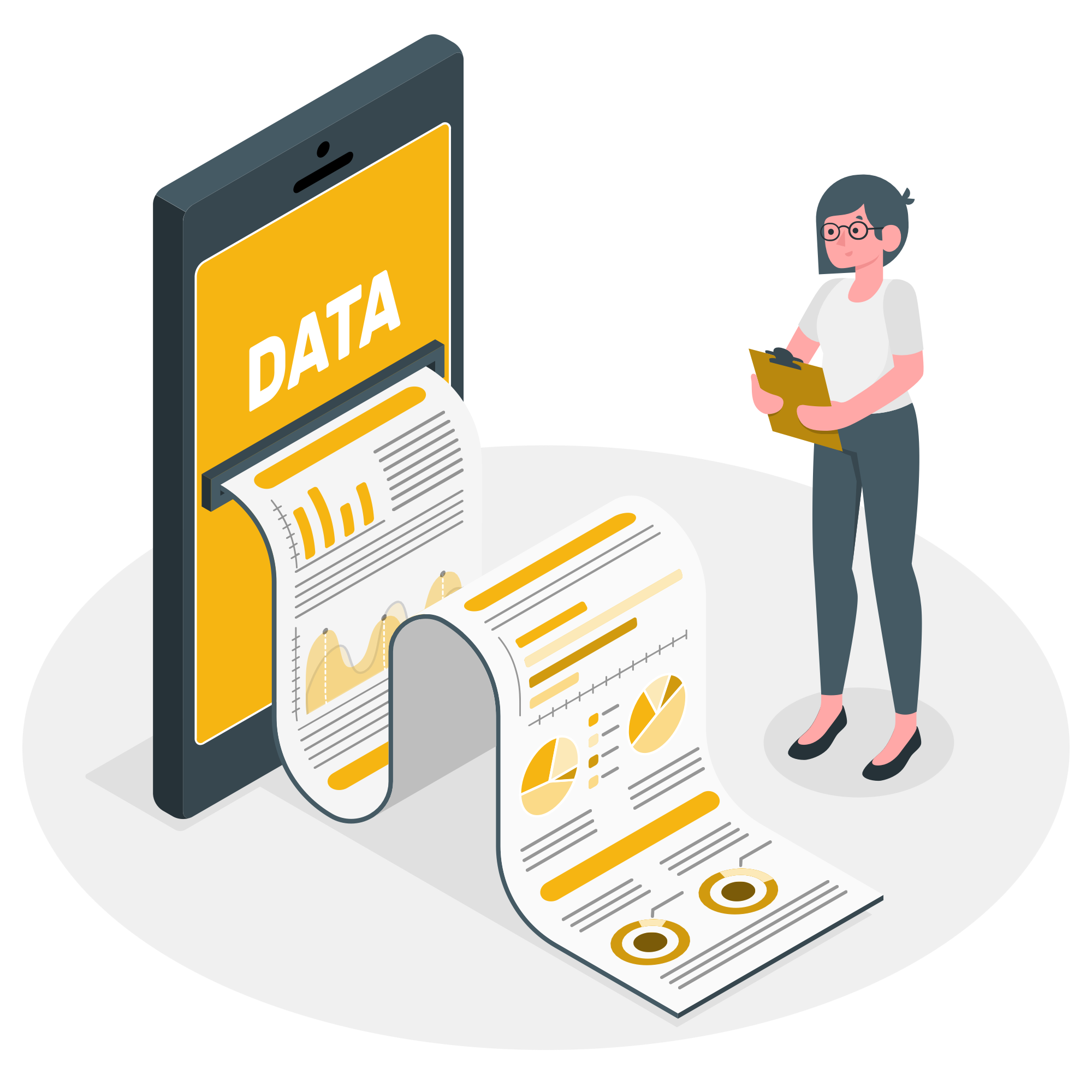 Data report-amico